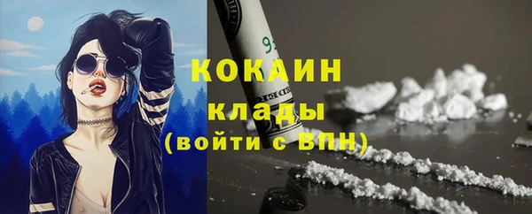 спайс Алексин