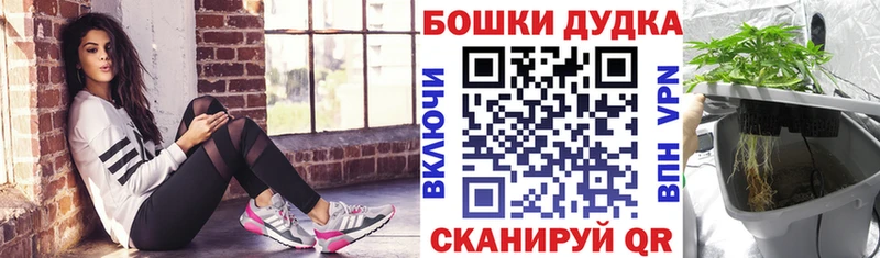 Канабис AK-47  Жиздра 